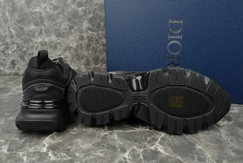 Dior Shoe 